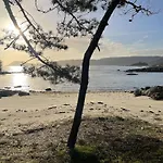 Camino De Rosa's